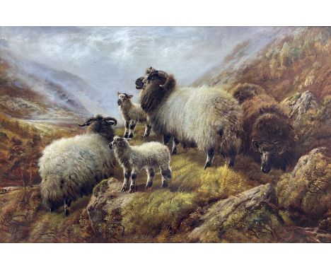 Robert Watson (British 1865-1916): Sheep on a Rocky Bank, oil on canvas signed and dated 1907, 59cm x 90cm Provenance: privat