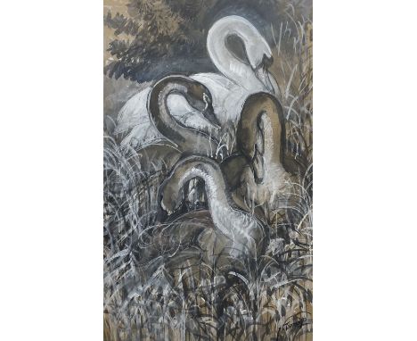 Charles Frederick Tunnicliffe (British 1901-1979): Four Swans, watercolour gouache charcoal and pencil signed, a preparatory 