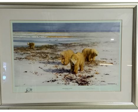 A framed signed David Shepherd limited edition print "Lone wanderers of the Arctic", numbered 328 of 1500, 95cm wide, 71cm hi