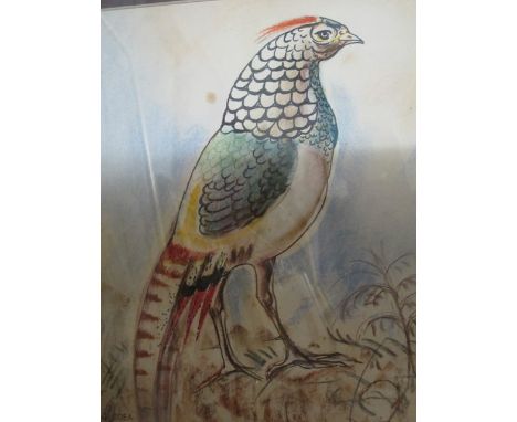 J E ROGERS 
Study of Lamp Post
Watercolour a Pair
J O D
Exotic Birds
Charcoal Drawings
A Pair (4)