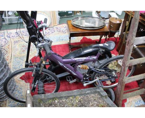 Raleigh "Max Cromley" Mountain bike