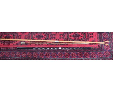 A thumb stick and two canes 