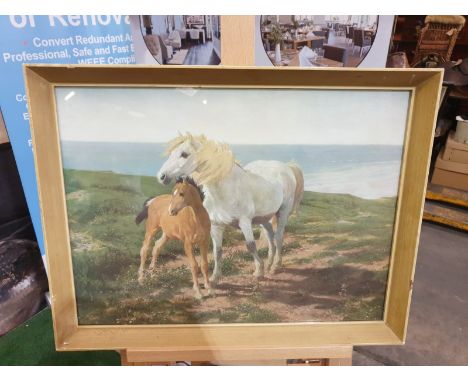 Framed vintage print of a a horse and her foal on a cliff overlooking the sea 60 x 45cm