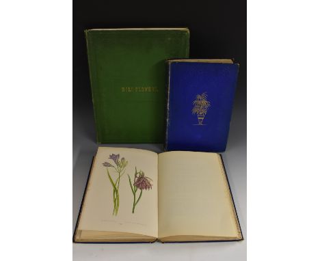 Botany - Alpine Plants: Figures and Descriptions of Some of the Most Striking and Beautiful of The Alpine Flowers, edited by 