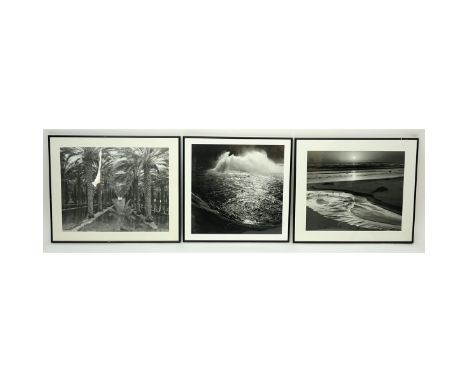 Three (3) Black & White Florida Motif Photographic Prints. 2 inscribed en verso Clyde Butcher, one unsigned. Good condition. 