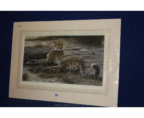 A Jeremy Paul signed limited edition print of a Cheetah, no. 98/395.
