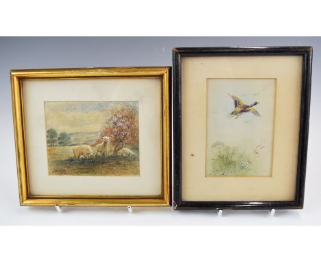 James Stinton and E M Barker Royal Worcester artists two signed watercolours of&nbsp;lambs&nbsp;and mallard in flight, 8 x 10