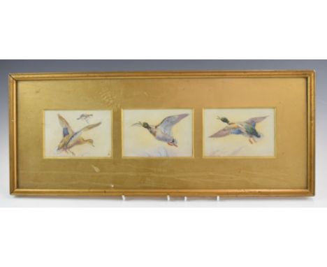 W Powell Royal Worcester artist three watercolours in one frame of ducks in flight, each 8.5 x 12cm
