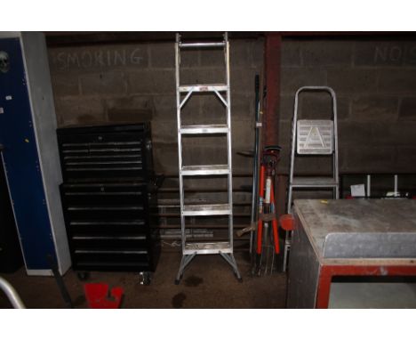 An aluminium step ladder