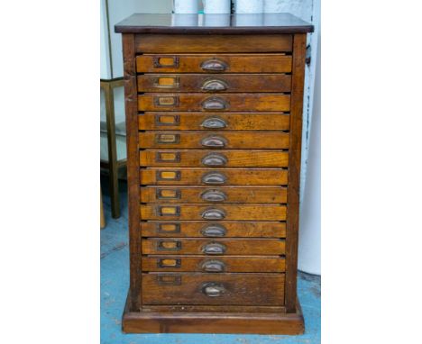 PRINTER'S CHEST, 87cm H x 51cm x 52cm, early 20th century with twelve fitted drawers and ordinary drawer below. 