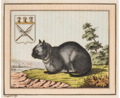 Pallas (Peter Simon) Travels through the Southern Provinces of the Russian Empire, in the years 1793 and 1794, 2 vol., second