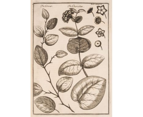 Th&eacute;venot (Jean de) The Travels of Monsieur de Thevenot into the Levant, 3 parts in 1 vol., first edition, second issue
