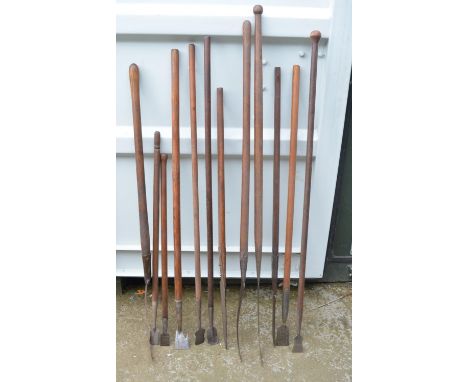 Collection of vintage hedging tools, including billhooks, bark spuds etc. 