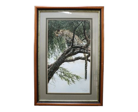 After Simon Combes (Contemporary)A striking study of an African leopard surveying the land from a treetop, limited edition pr