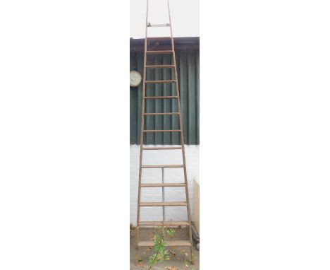 A pine fruit picker's ladder, 13 rungs.