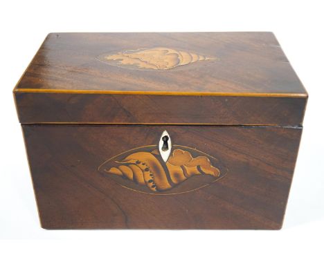 A George III mahogany tea caddy with shell marquetry panel, lacking the original interior, 12cm high x 18.5cm wide x 10.5cm d