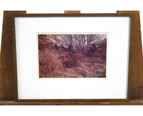 Len Jenshel, landscapes, photographs, set of three, 15cm X 22.5cm, purchased, Light Gallery, New York