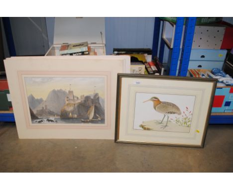 A framed print study of a bird and two unframed and mounted prints