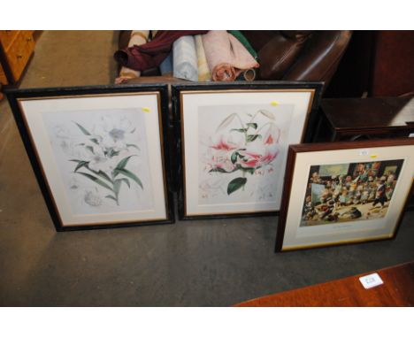 A framed coloured print "The dogs academy" and two botanical prints