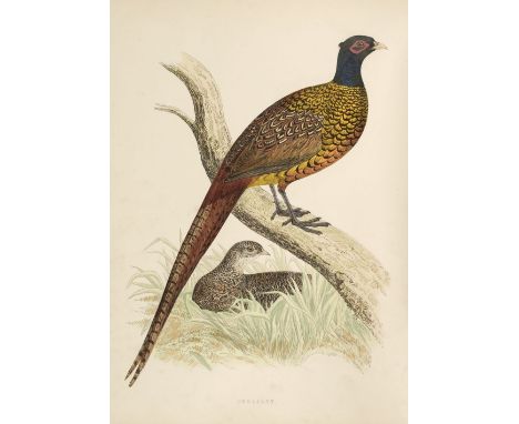 Morris (Beverley R.). British Game Birds and Wildfowl, Groombridge and Sons, 1st edition, 1855, title and contents list, sixt