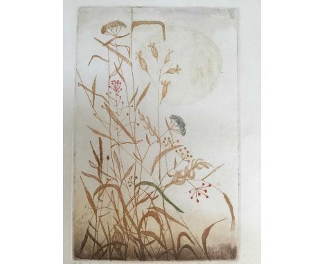 Ota Janecek (Czech, 1919-1996), reeds and flowers, colour etching, signed, 24cm x 15.5cm