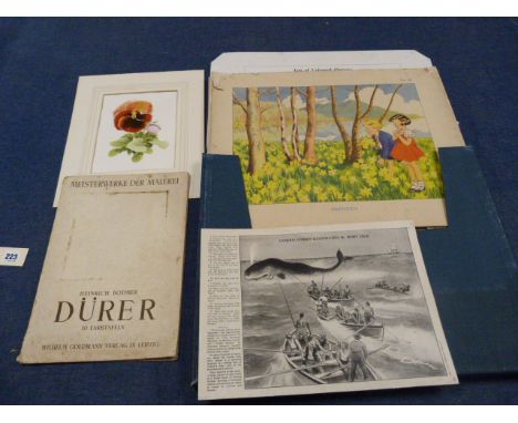 ARTIST UNKNOWN.  Mounted watercolour of a pansy; also various coloured schoolroom prints in a folder & one other item.