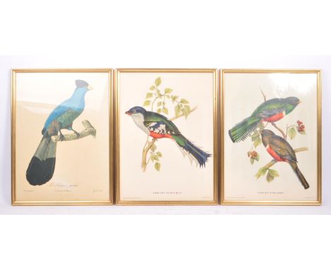 J &amp; E Gould - Two vintage 20th century bird prints. Trogon temnurus and trogon collaris. Drawn from nature &amp; on stone