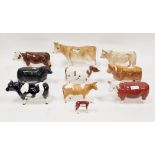 Collection of Beswick and other pottery bulls and cattle to include Beswick CH Coddington 'Nilt Bar'