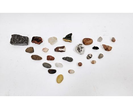 Collection of gemstone rocks and other aggregates including quartz and agate together with fossils and shells together with F