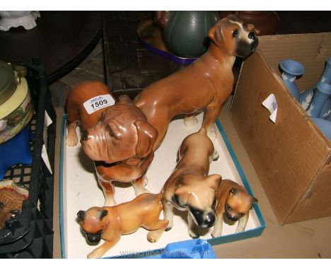 Five Boxer Dogs one being a Melba Ware 