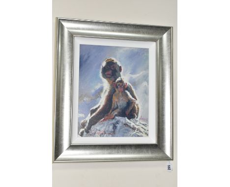 ROLF HARRIS (AUSTRALIA 1930-2023) 'BACKLIT BABOONS - GIBRALTAR', a signed limited edition print on board, depicting a Baboon 