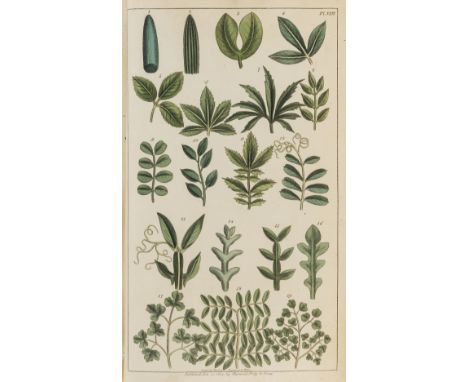 NO RESERVE Lee (James) An Introduction to the Science of Botany..., engraved portrait frontispiece, 12 hand-coloured engraved