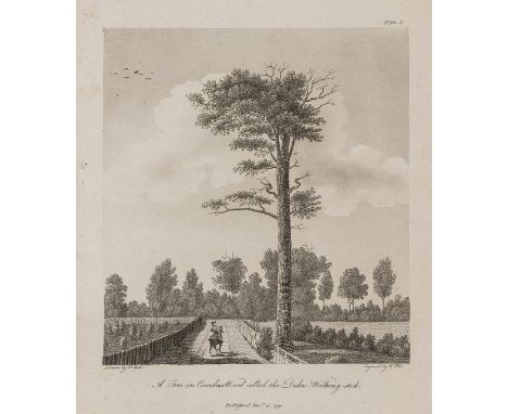 NO RESERVE Trees.- Rooke (Hayman) Descriptions and sketches of some remarkable oaks, in the park at Welbeck, in the county of