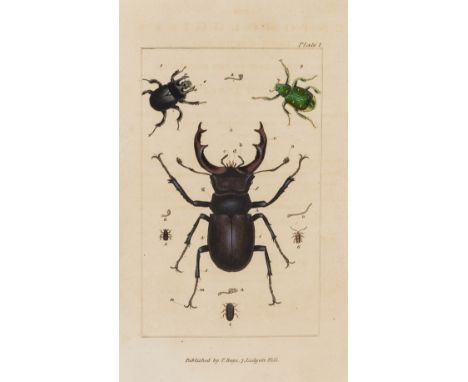 NO RESERVE Samouelle (George) The Entomologist's Useful Compendium..., first edition, hand-coloured frontispeice and 12 plate