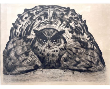 Paul Jouve (French, 1878-1973), Owl, signed l.r., lithograph No.60/100, 35 by 46cm, with a lithograph of an eagle head, 46 by