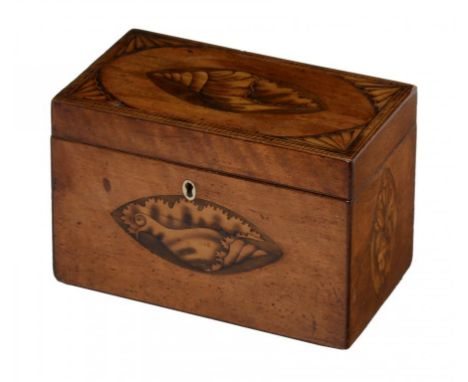 A GEORGE III SATINWOOD TEA CADDY, C1820  with shell and vase of flowers, paterae and spandrels, divided interior, 18.5cm w ++