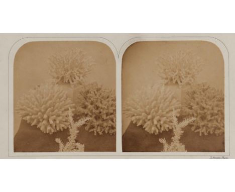 JOURNAL  [THE STEREOSCOPIC MAGAZINE: A GALLERY OF LANDSCAPE SCENERY ARCHITECTURE AND NATURAL HISTORY] PHOTOGRAPHICALLY ILLUST