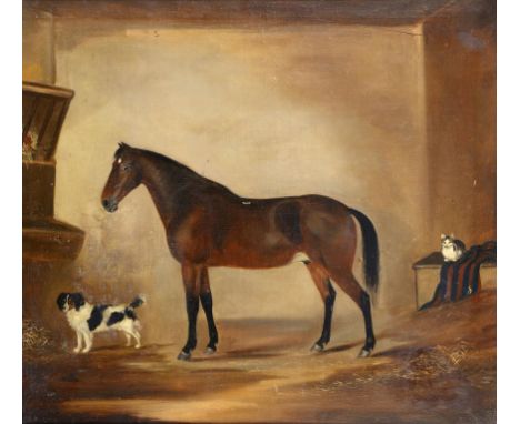 ENGLISH NAIVE ARTIST, 19TH CENTURY  PORTRAIT OF A STALLION    inscribed( on blanket) PD, oil on canvas, 51 x 56cm, contempora