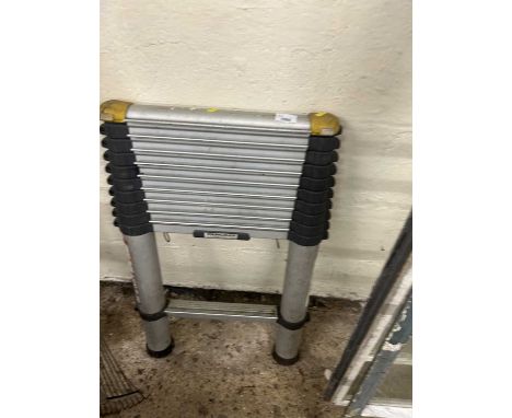 An extending Youngman ladder