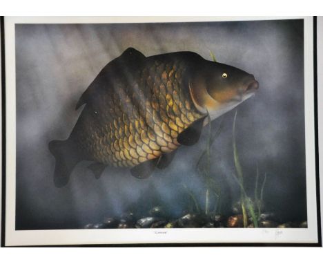 James Green limited print 751/850 "common" perch, signed and numbered in pencil bottom right margin, framed and glazed 59cm x