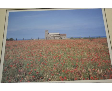 PHOTOGRAPHIC PRINT OF POPPIES NEAR SHERINGHAM, FRAMED AND GLAZED