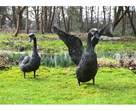 TWO PATINATED BRONZE MODELS OF SWANS 20TH CENTURY One modelled with wings raised the largest example 72cm high, 70cm wide, 57
