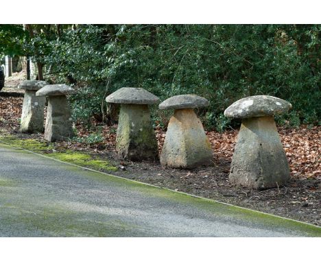 A GROUP OF EIGHT COTSWOLD STADDLE STONES  19TH CENTURY  largest 82cm high, top 58cm diameter, smallest 75cm high, 54cm diamet