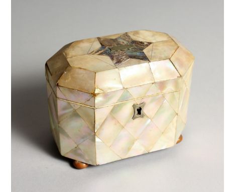 A GEORGIAN MOTHER OF PEARL TEA CADDY 5Ins high.