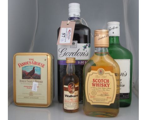 Assorted spirits to include: Gordon's Sloe Gin 70cl, 26% by volume, Gordon's Special Dry London Gin 35cl, 37.5% by volume, Fi