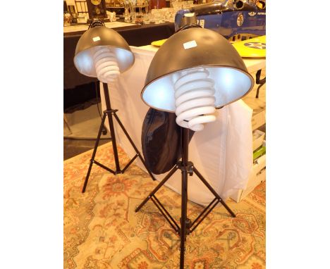 Pair of tripod based studio lights and a folding light box