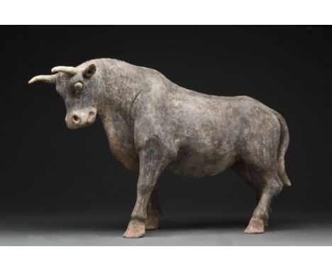 Northern Wei Dynasty, Ca. AD 386 - 534.A terracotta ox painted with black pigments. The animal is depicted to be standing, wi