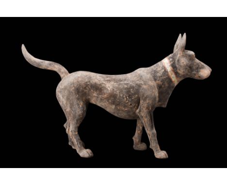 Han Dynasty, Ca. 202 BC - AD 220.A pottery tomb figure crafted in the likeness of a dog. The animal is in a vigilant and aler