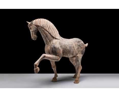 Tang Dynasty, Ca. AD 618 - 907.A large Chinese terracotta prancing horse. The front left leg is held up in a prancing stance,