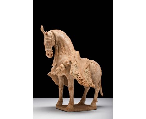 Northern Wei Dynasty, Ca. AD 386 - 534.A Chinese terracotta horse. It is a fully caparisoned standing horse with splayed sadd